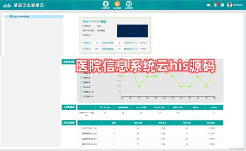 基層醫院信息化管理系統（HIS）源碼與信息系統集成服務