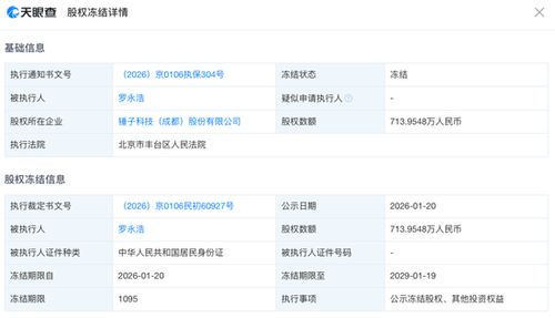 羅永浩股權(quán)被凍結(jié)背后 科技創(chuàng)業(yè)者的風(fēng)險與反思