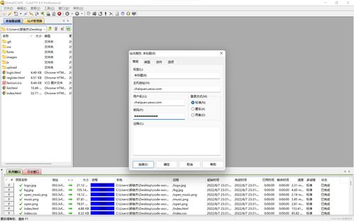 Web前端系列技術(shù) 靜態(tài)Web項目的開發(fā)與上傳全流程解析